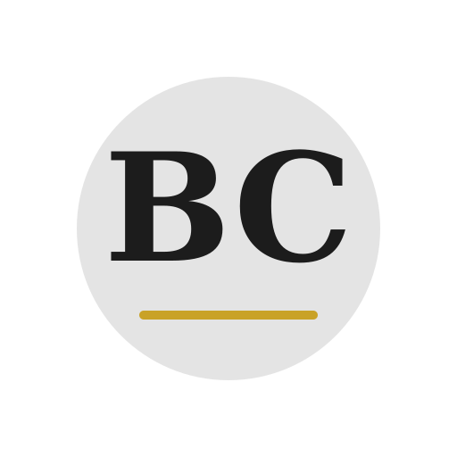 Bayridge Chimney Repair logo